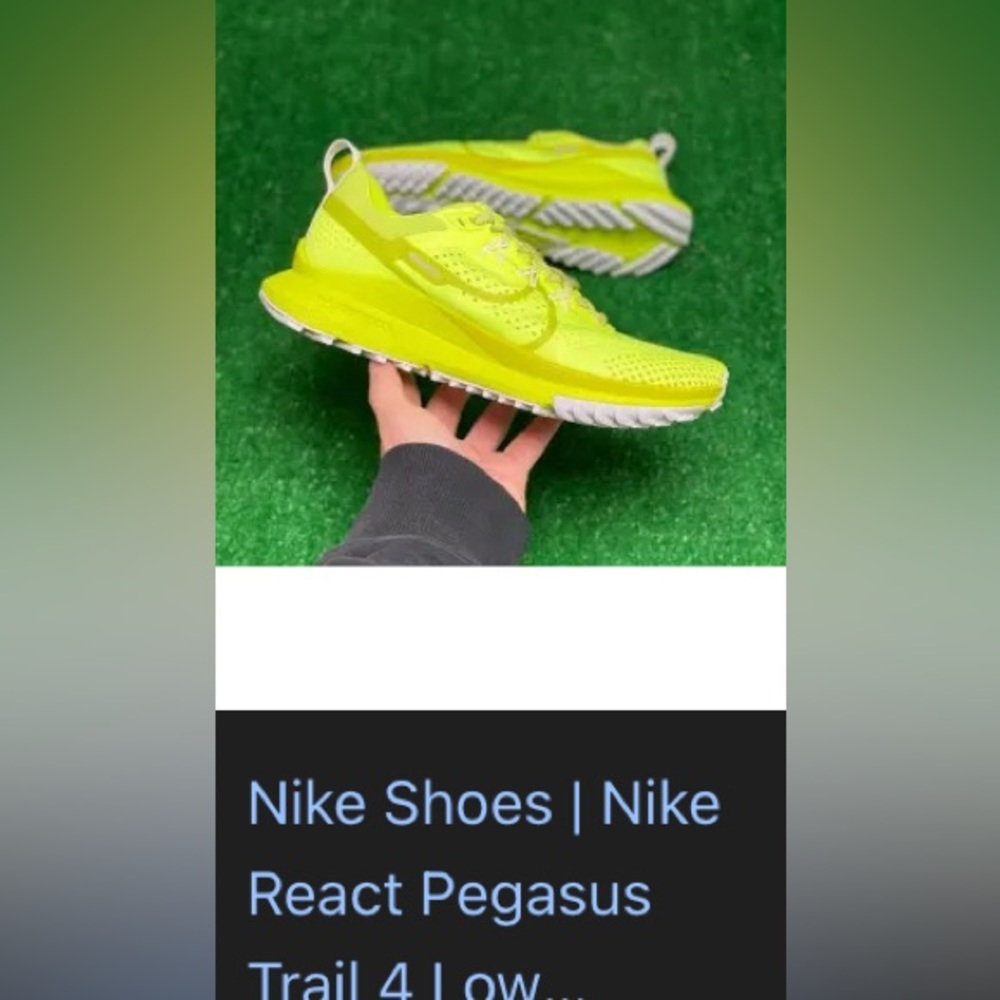 Nike Pegasus trail
